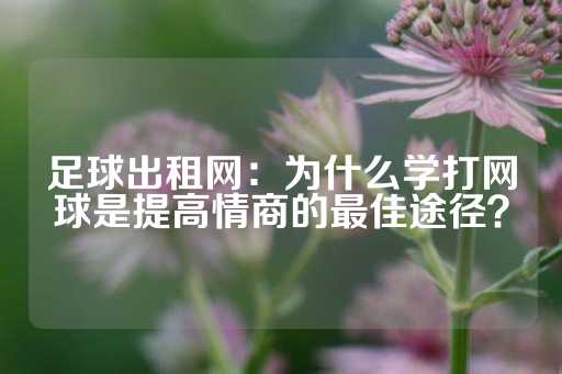 足球出租网：为什么学打网球是提高情商的最佳途径？-第1张图片-皇冠信用盘出租