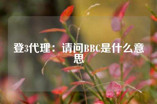 登3代理：请问BBC是什么意思-第1张图片-皇冠信用盘出租